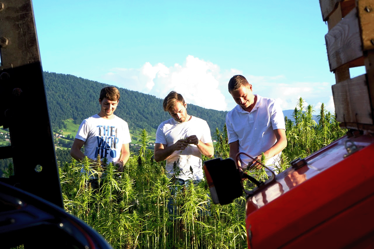 WälderKrut Team_Hanffeld_Trakor_Sulzberg_Vorarlberg_Österreich