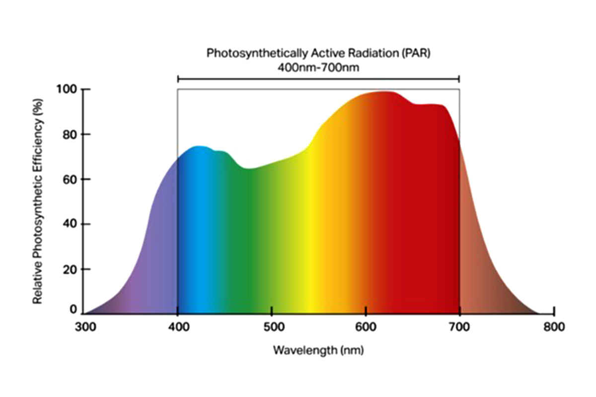 Lichtspektrum - sichtbares Licht