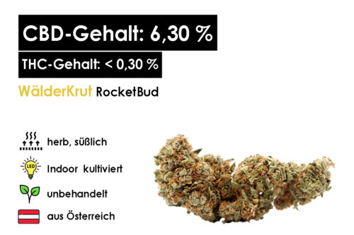 WälderKrut_RocketBud_Hanfblüten aus Vorarlberg, Österreich online kaufen